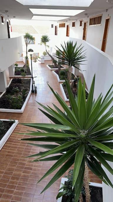 Ferienwohnung Modern,Strandnaehe, Club Olympus, Garten City Tenerife Playa Feñabe Екстериор снимка